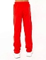 Детские брюки "Винтер" арт. дф276к / Красный